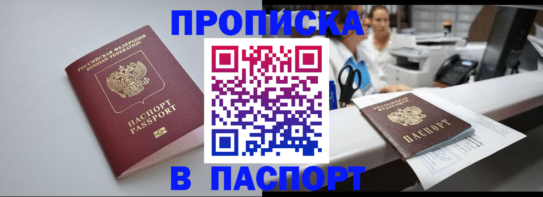 прописка 2025 в Почепе